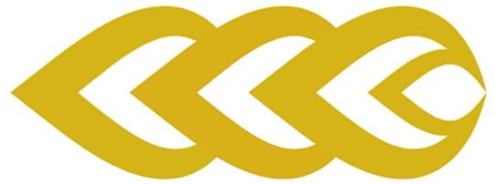 Tennis Chain Store logo
